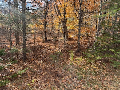 Main St - 11.43 Acres