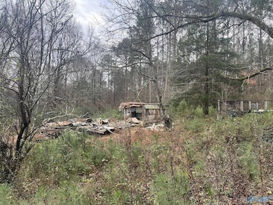 123 Hitt Rd, Decatur, AL 35603 - photo 3