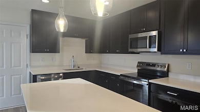 431 Sunset Hollow Dr, Wentzville, MO 63385 - photo 6