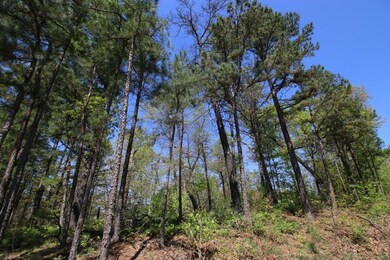 0 Hanover & Branston Cir, Bella Vista, AR 72715 - photo 5