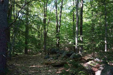 00 Whittier Hwy unit Lot 29B, Center Sandwich, NH 03227 - photo 4