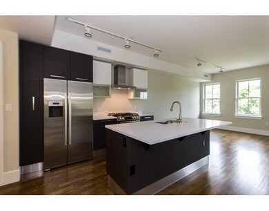 10 Saint George St unit 501, Boston, MA 02118 - photo 5
