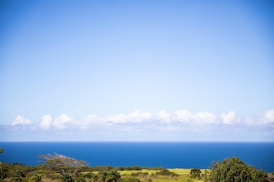 17 Kai Huki St, Haiku-Pauwela, HI 96708 - photo 6