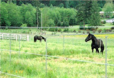 11109 238th St E, Graham, WA 98338 - photo 2