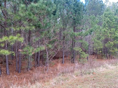 1107 Watersedge Cove, Tignall, GA 30668 - photo 3