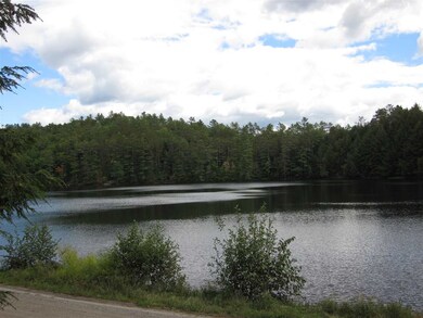 0 Perch Pond Rd unit 4517350, Lisbon, NH 03585 - photo 4