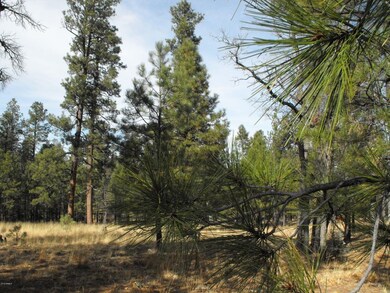 176 Pine Canyon 2
