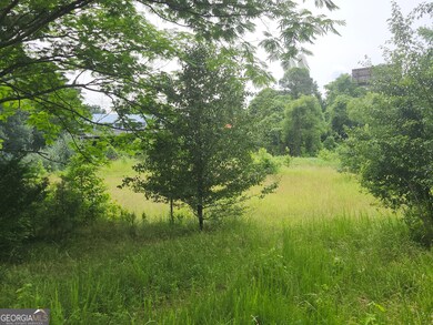 0 Vanns Valley Rd SW unit 10534224, Rome, GA 30161 - photo 3