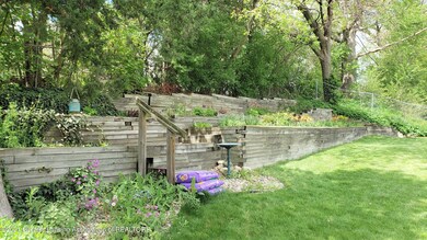 Back yard 4
