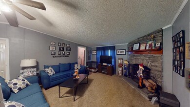 157 W Hills Rd, Rutledge, TN 37861 - photo 5