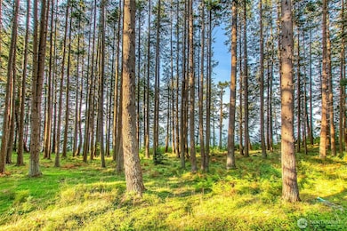 104 Barn Owl Trail, Eastsound, WA 98245 - photo 7