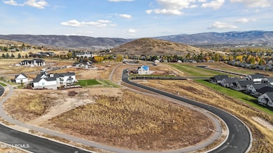 1636 N Cambridge Dr, Midway_Drone006