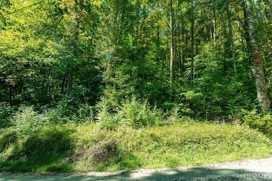 16 & 17 Cullowhee Forest Rd, Cullowhee, NC 28723 - photo 2