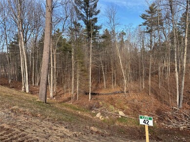 Lot 42 Ursa Rd, Hayward, WI 54843 - photo 2