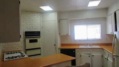 IMG_0011_edited-1