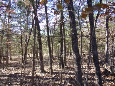 000 Montego Dr, Ruth B Rural Township, MO 65686 - photo 6