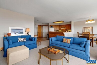 1518 Cliffs, Wintergreen Resort, VA 22967 - photo 4