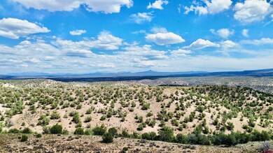 Lot 1 Dd Rd, Naturita, CO 81422 - photo 4