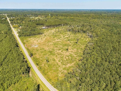 TBD Pitch Landing Rd, Conway, SC 29527 - photo 3