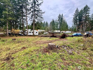151 W Buck Prairie Rd, Elma, WA 98541 - photo 5