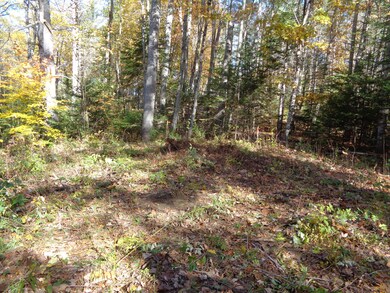 Cleared area