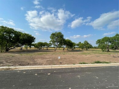 LOT117 Micaela St, Donna, TX 78537 - photo 6
