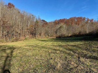 500 Beechmont Rd, Sandy Hook, KY 41171 - photo 4