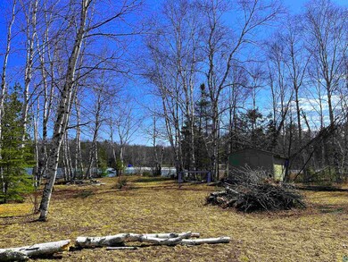 View of yard facing north shore line, and shed.