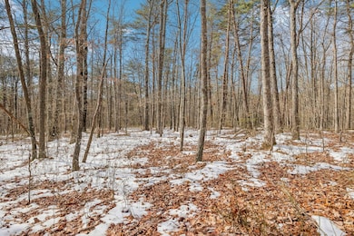 Ground Photo