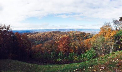 The View...