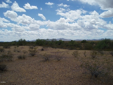 P5200022