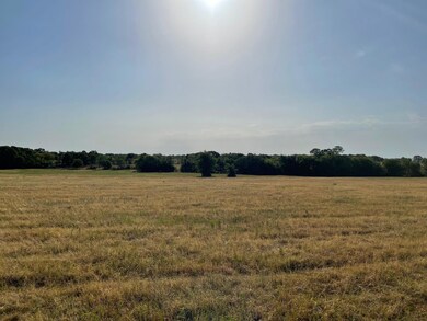 00 SE County Road 2220, Corsicana, TX 75109 - photo 6