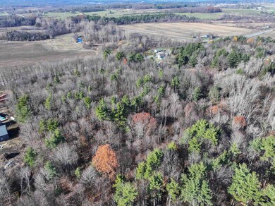 TBD Route 7 S, Middlebury, VT 05753 - photo 6