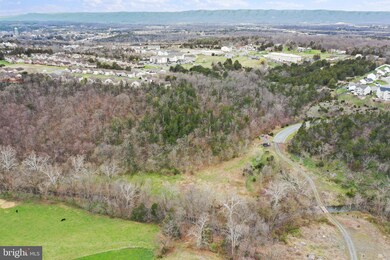 TBD Island Farm Rd, Strasburg, VA 22657 - photo 6
