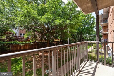 3336 Spring Ln unit A24, Baileys Crossroads, VA 22041 - photo 7