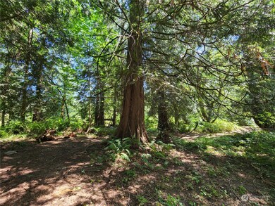 24908 144th Ave E, Graham, WA 98338 - photo 5