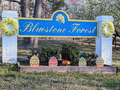 17 Olde Forest Rd, Clarksville, VA 23927 - photo 7