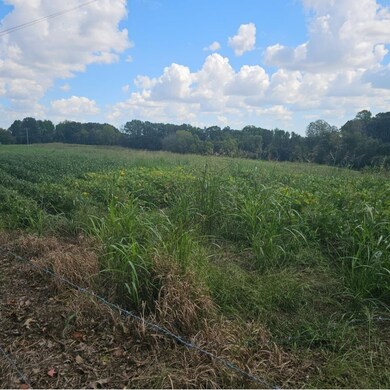 View of nature with a rural view