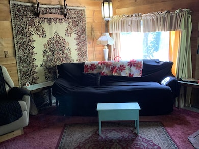 2423 Quinns Meadow Rd, Colville, WA 99114 - photo 6