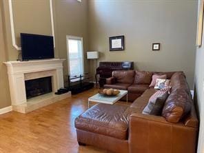 Living room featuring a fireplace with raised hear
