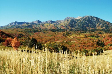 Fall Landscape Photo A