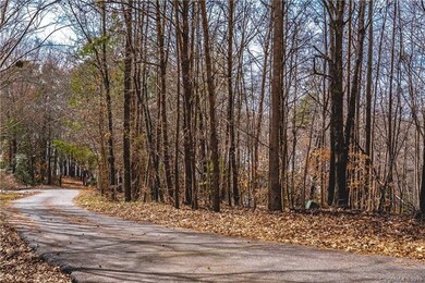 Shared driveway leading to Lot Access