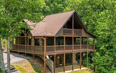 Additional View