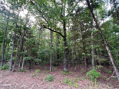 0 Stoney Point Rd, Heber Springs, AR 72543 - photo 6