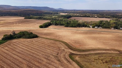 26 Vaughn Rd, Arab, AL 35754 - photo 3