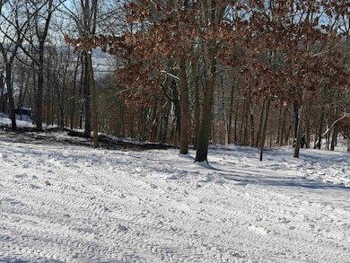 20549 Big Timber Ridge Rd, Eastman, WI 54626 - photo 4