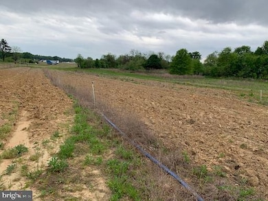 0 Cecilton Warwick Rd unit MDCC2018578, Warwick, MD 21912 - photo 6