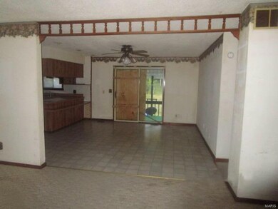 152 County Road 452, Poplar Bluff, MO 63901 - photo 5