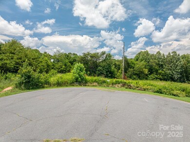 000 Flag Ln unit 53, Vale, NC 28168 - photo 6