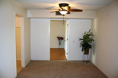 10741 W Santa fe Dr, Sun City, AZ 85351 - photo 7